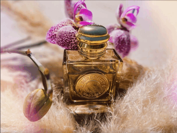 Burberry Goddess for Women Edp 100ml - Image 4