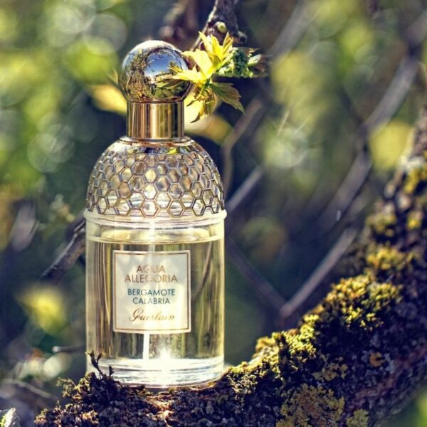 Guerlain Aqua Allegoria Bergamote Calabria EDT 125ml - Image 4