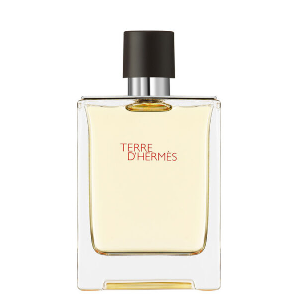 Hermes Terre D Hermes