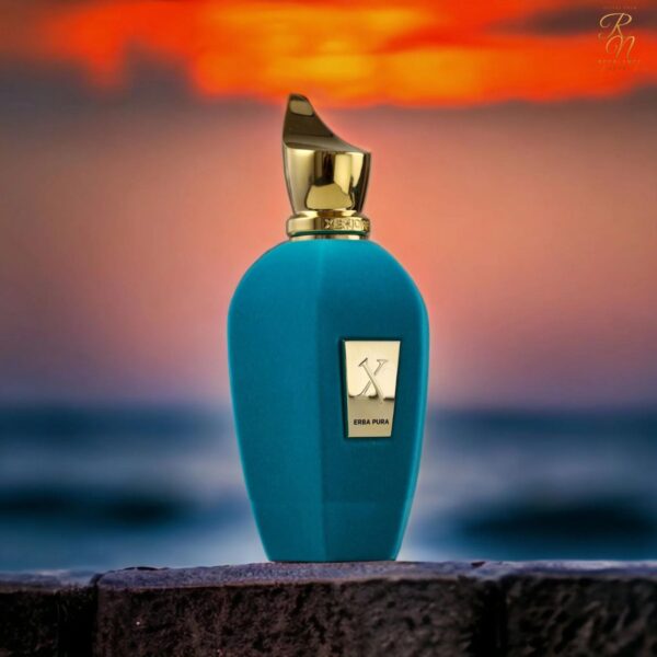 Xerjoff Erba Pura EDP - 100ML - Image 4