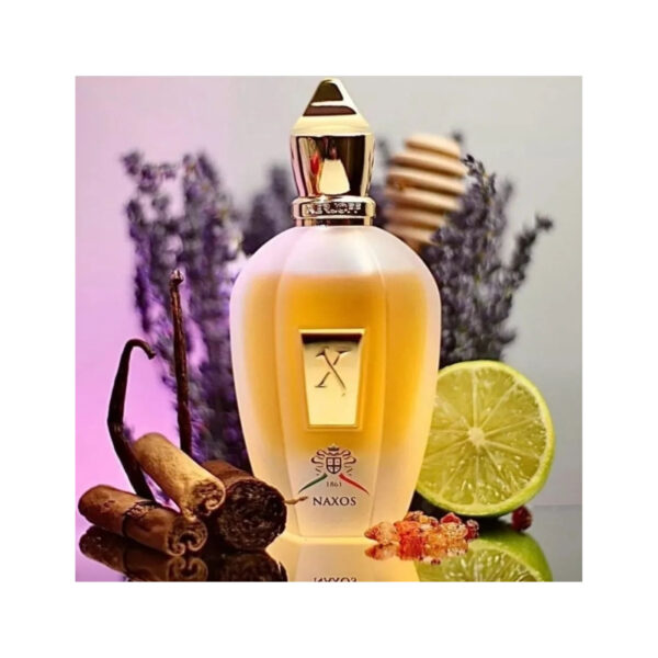 Xerjoff 1861 Naxos EDP - 100ML - Image 4