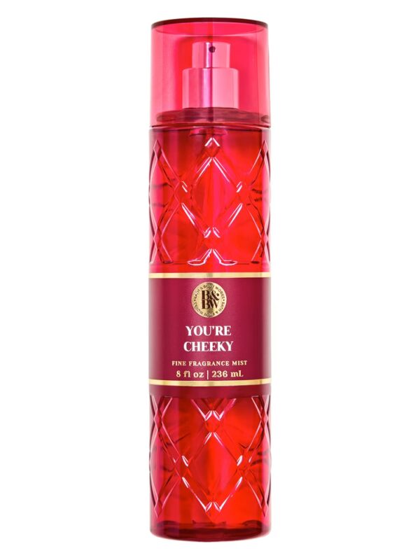 Bath and Body Works You're Cheeky Mist