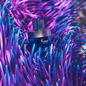 Rare Reef - Afnan Perfumes Sri Lanka